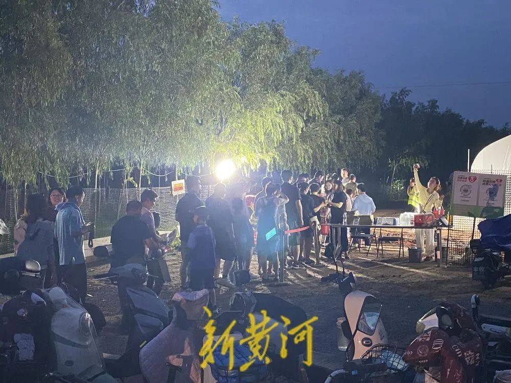 濟(jì)南這片樹林，一晚捉了20000只金蟬