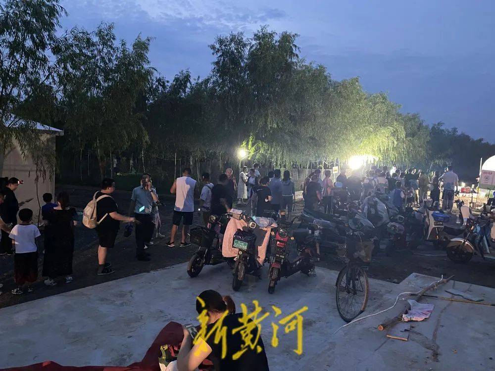 濟(jì)南這片樹林，一晚捉了20000只金蟬