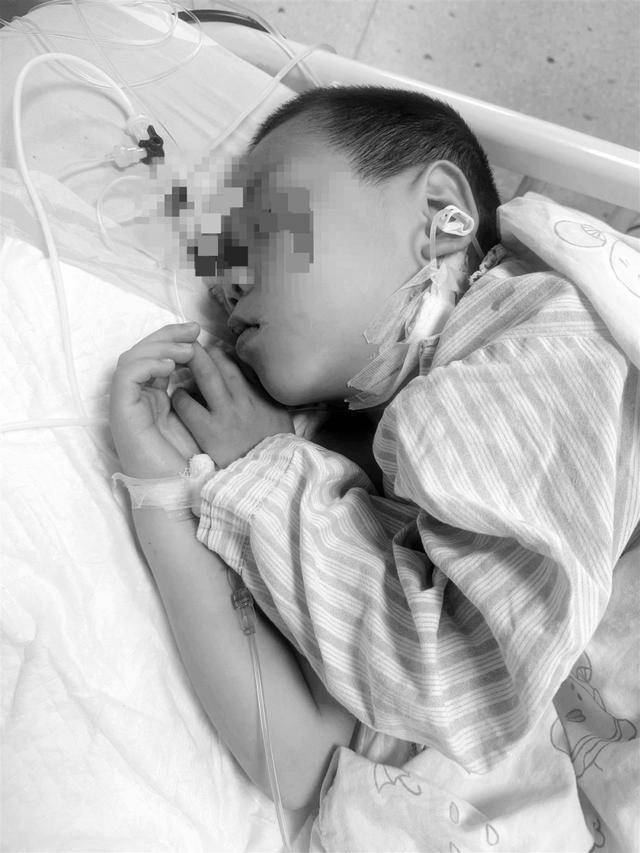 湖南一家6口誤食毒蘑菇，5歲男童不幸去世