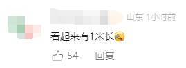 有人家中出現(xiàn)“巨型蟑螂”？網(wǎng)友：房子給它了