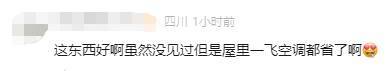 有人家中出現(xiàn)“巨型蟑螂”？網(wǎng)友：房子給它了