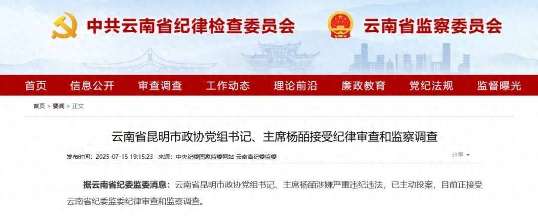 曾任昆明市副市長的她，主動投案