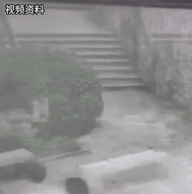 僅40秒！兩人不幸身亡