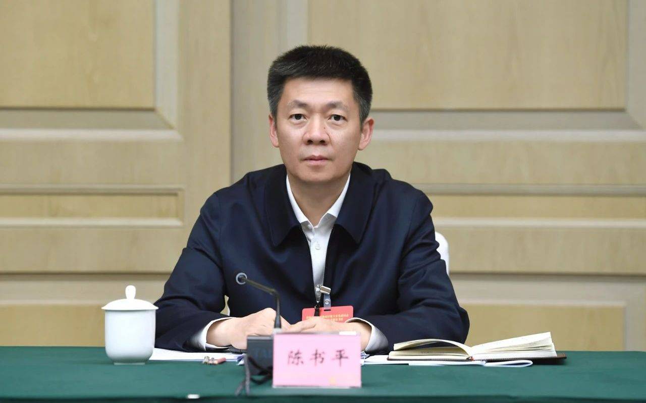陳書平任四川省副省長