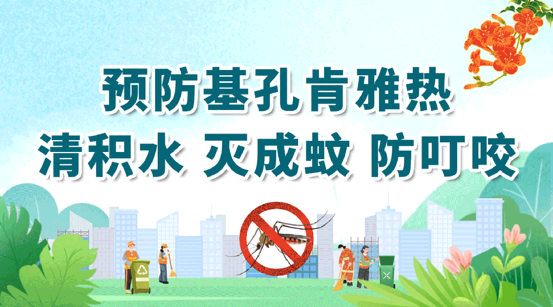 收好這份指引！十大場所滅蚊防基孔肯雅熱有方法