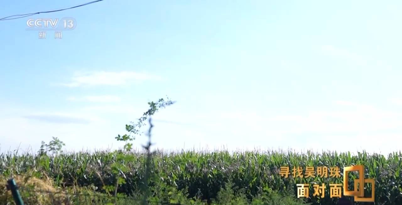 面對(duì)面丨中國(guó)人的吃瓜自由要感謝她！吳明珠說(shuō)她的一生就是結(jié)幾個(gè)好瓜獻(xiàn)給人民