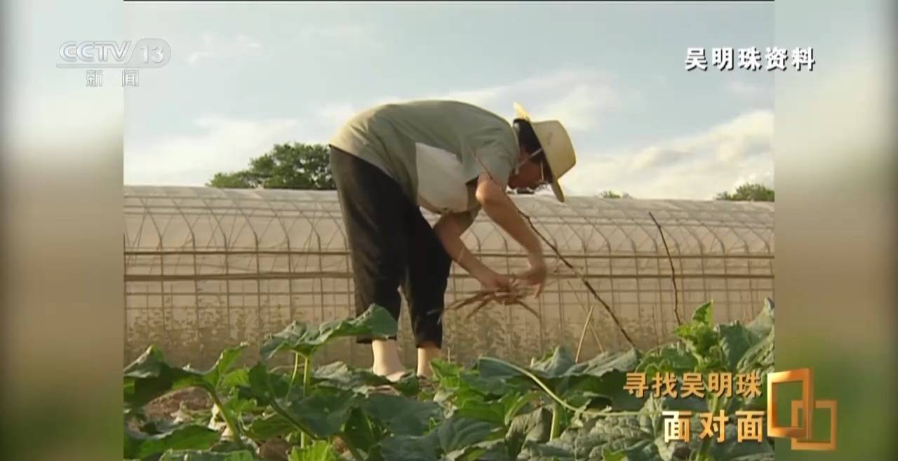 面對(duì)面丨中國(guó)人的吃瓜自由要感謝她！吳明珠說(shuō)她的一生就是結(jié)幾個(gè)好瓜獻(xiàn)給人民