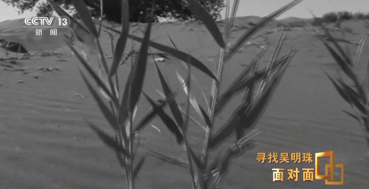 面對(duì)面丨中國(guó)人的吃瓜自由要感謝她！吳明珠說(shuō)她的一生就是結(jié)幾個(gè)好瓜獻(xiàn)給人民
