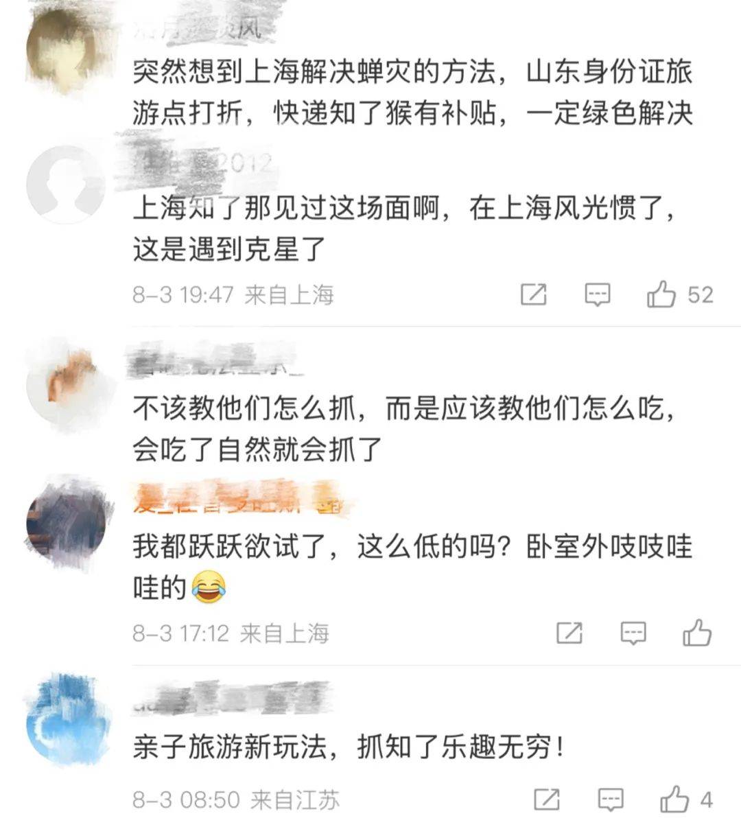 山東父子在上海抓知了降維打擊，“孩子一分鐘徒手抓了十幾只”