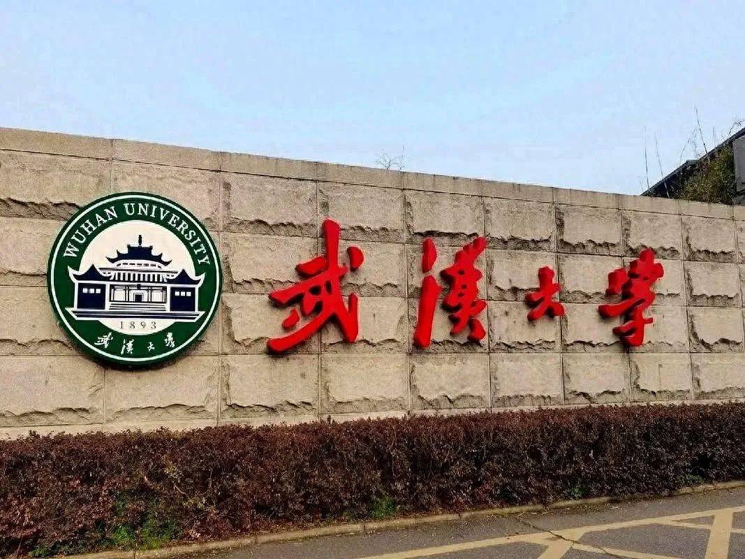害人害己！武大楊某踢到鐵板，知情人曝將被開除，到手的博士難保