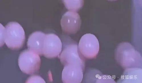 調(diào)侃“接受不了生女兒”被罵好幾天，他自曝差點因此家庭破裂......