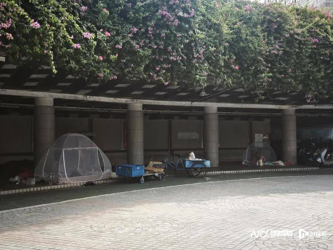 全民滅蚊總動員，大廣東給我們上了一課