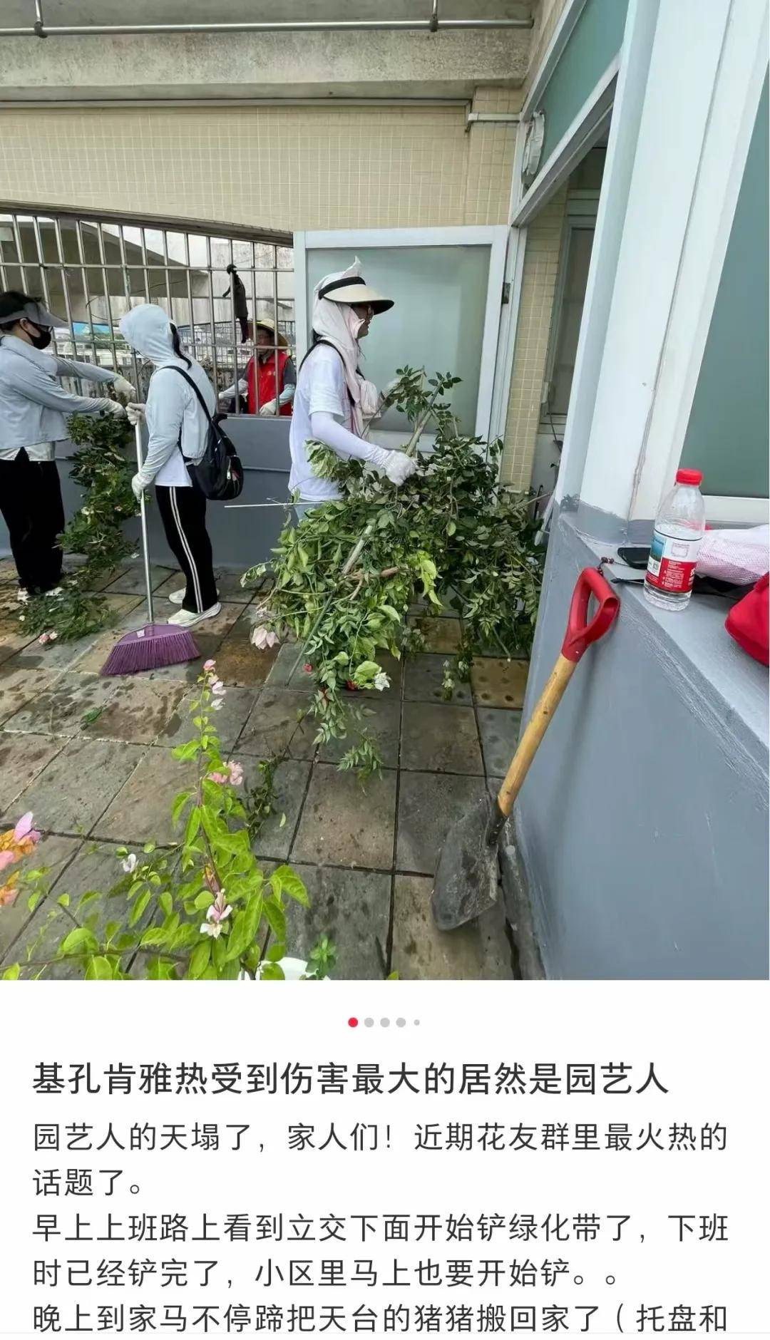 全民滅蚊總動員，大廣東給我們上了一課