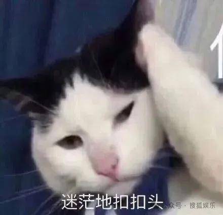 離婚三年又被拍到親密逛超市，他倆這是純帶娃還是真復(fù)合了？