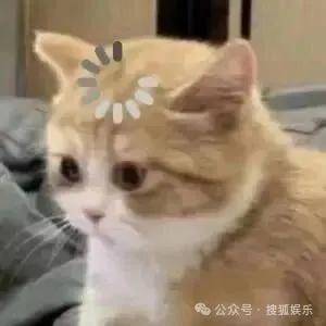 離婚三年又被拍到親密逛超市，他倆這是純帶娃還是真復(fù)合了？