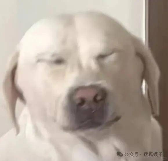 離婚三年又被拍到親密逛超市，他倆這是純帶娃還是真復(fù)合了？