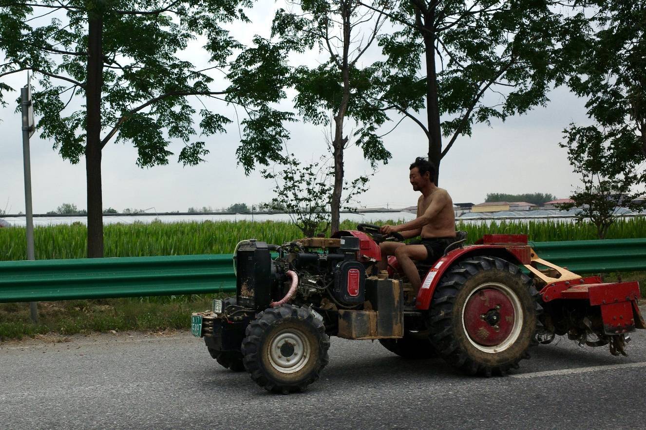 干旱38天后，河南駐馬店農(nóng)民等來了一場雨