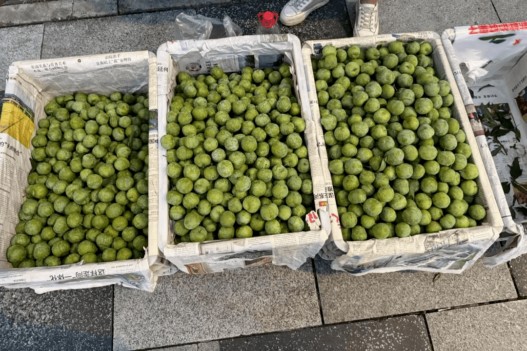 成都街頭9.8元/斤的“蜂糖李”其實(shí)是青脆李？專家：存在以次充好情況，注意辨認(rèn)｜追蹤到底