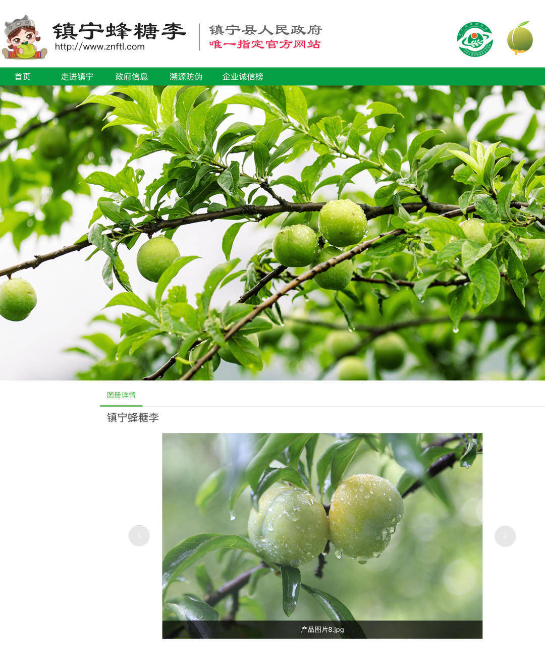 成都街頭9.8元/斤的“蜂糖李”其實(shí)是青脆李？專家：存在以次充好情況，注意辨認(rèn)｜追蹤到底