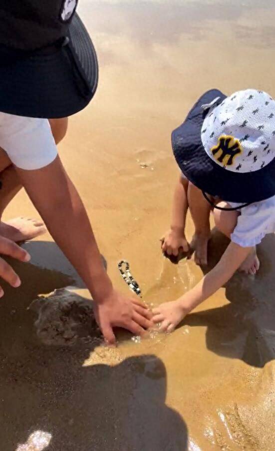 青島趕海沙灘中挖出手機，濰坊熱心游客物歸原主
