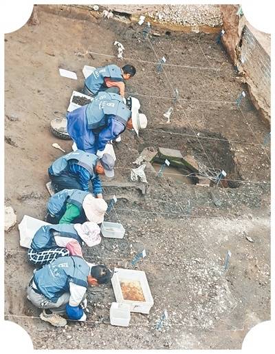從螺殼堆中探尋古滇國歷史（賡續(xù)歷史文脈·考古故事）