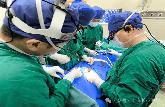 全球罕見！中國醫(yī)生救回“身首離斷”患者