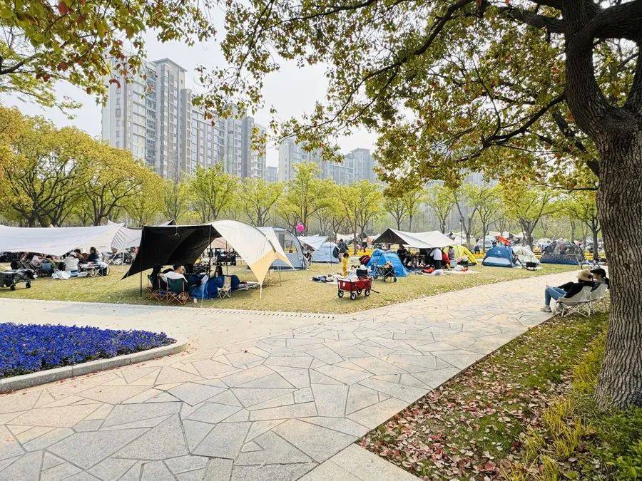 上海明確：不得隨意以安全為由禁止，盡量擴大范圍！此前爭議不斷
