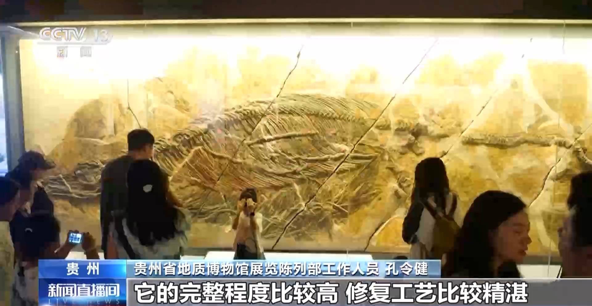 文化中國行丨暑期“文博熱” 各地博物館推出多元體驗新玩法