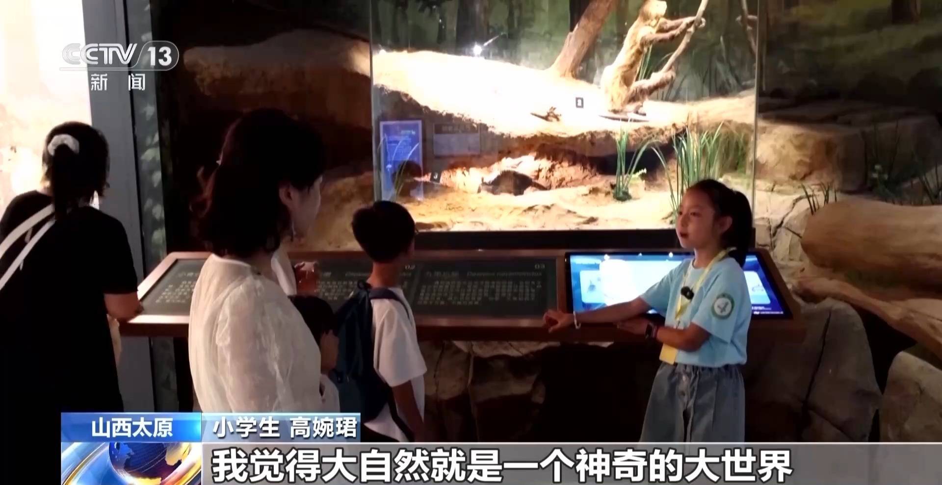 文化中國行丨暑期“文博熱” 各地博物館推出多元體驗新玩法