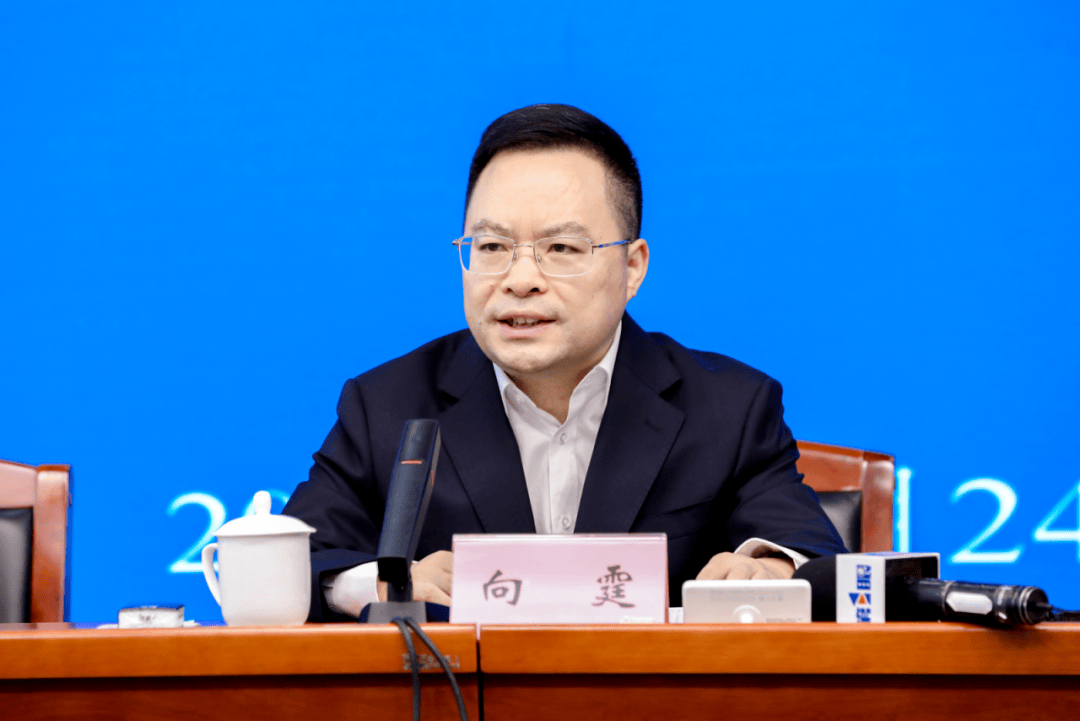 中央巡視期間，向霆被查