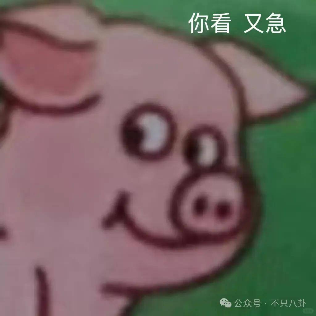 讓46歲的老婆給他生二胎？這姐別是又跳進一個火坑了吧……