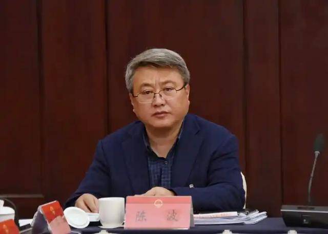 受賄數(shù)額特別巨大、濫用職權(quán)致國家利益遭重大損失，陳波被公訴