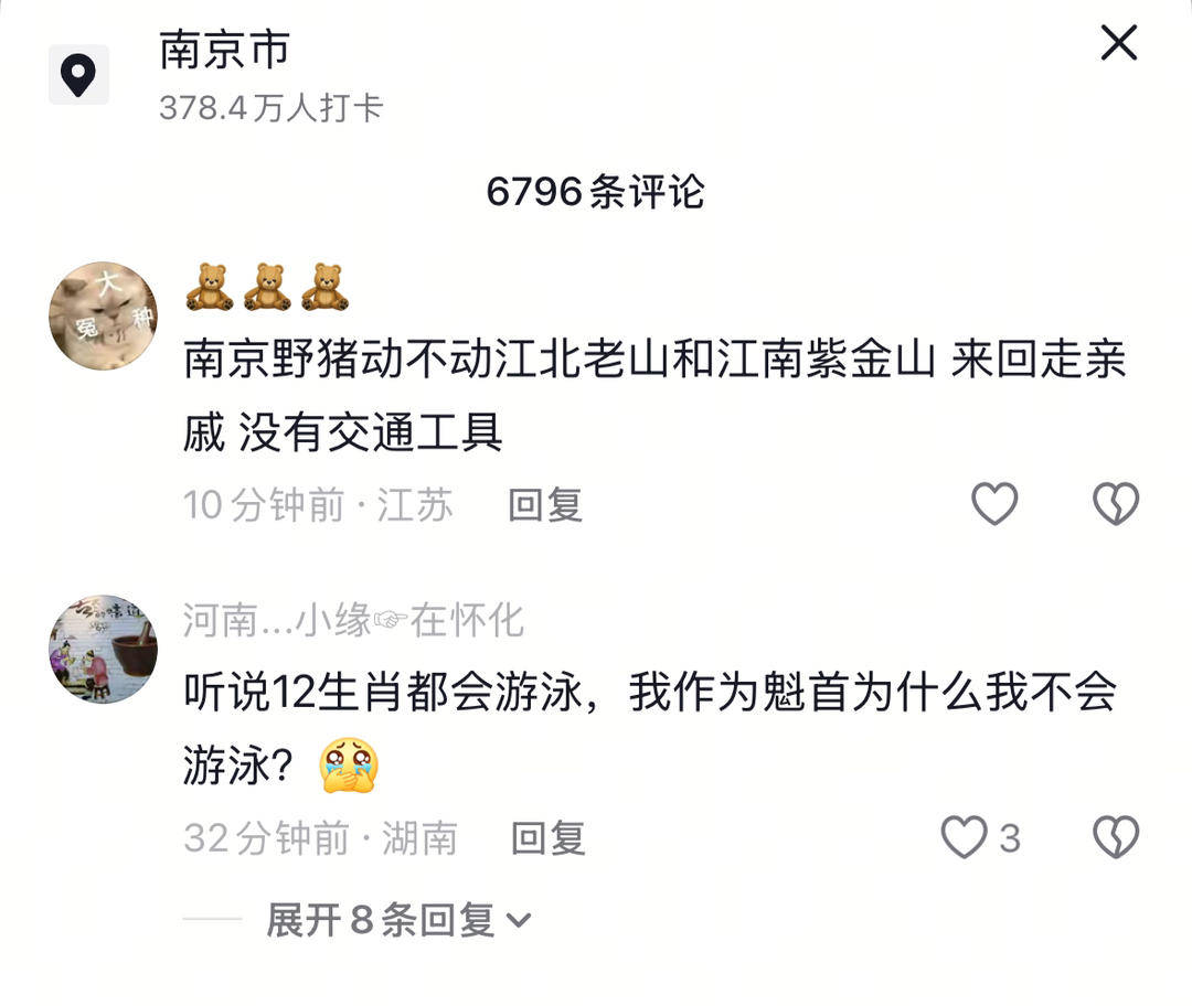 南京六頭野豬組隊(duì)渡長(zhǎng)江，網(wǎng)友：天蓬元帥天上管水軍的