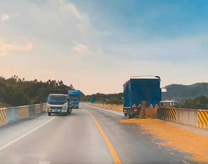 “經(jīng)過(guò)的無(wú)一幸免！”多名車(chē)主在汕頭一高速口附近遇黃色污物，洗車(chē)店主：店都臭了