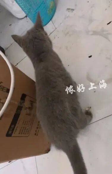 上海一房東崩潰！"00后"情侶租客失聯(lián)，打開(kāi)房門(mén)直呼"辣眼睛"…