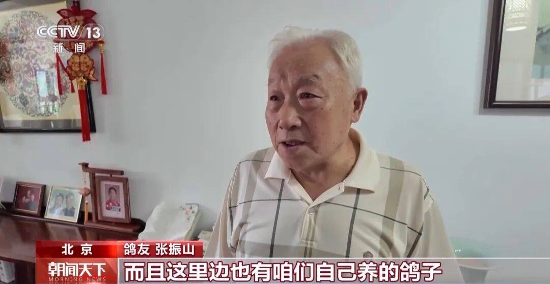 明天將放飛8萬羽和平鴿、8萬只氣球，揭秘！