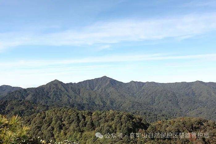 云南哀牢山新規(guī)出臺(tái)：禁止任何單位和個(gè)人擅入哀牢山自然保護(hù)區(qū)，從事科研活動(dòng)須報(bào)批