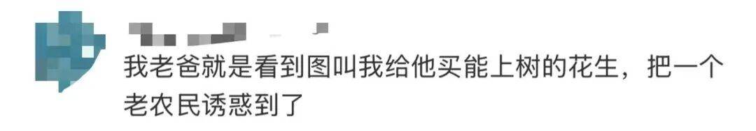 “花生上樹(shù)”鬧?。篈I翻車(chē)背后，我們都在弄丟常識(shí)？