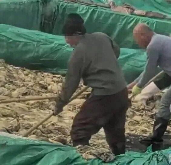 男子在酸菜池內(nèi)抽煙吐痰，官方通報(bào)！